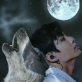 Jungkook (wolf)