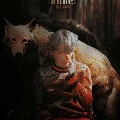 Suga (wolf)