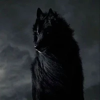 lobo de hyunjin
