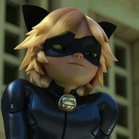 Chat noir