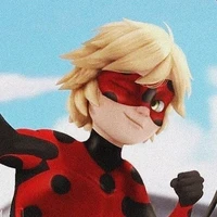 Mister bug