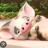 Pua🐖