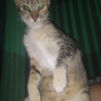 autora