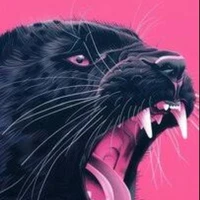 (Panther)Sofi