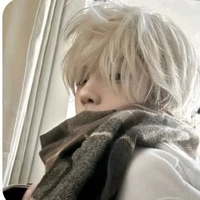 โชกุน(นอ.)