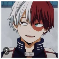 Shoto Todoroki