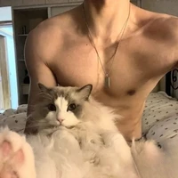 เมอร์