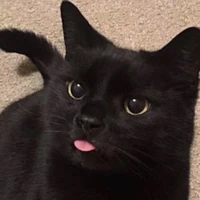 ?