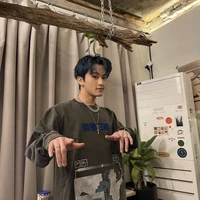 Jung Mark