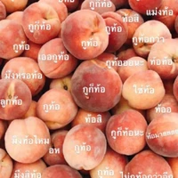 เเอด