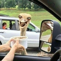 ขนมปิ๊บ