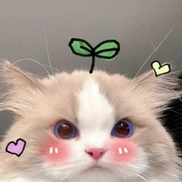 มีน ร่างแมว