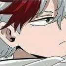Todoroki Reinn