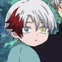 Todoroki Reinn