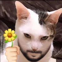 เเอดไงจะใครล๊าา