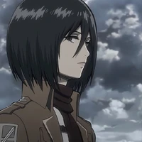 mikasa
