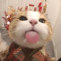 tác giả nò