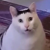 แอดคนแต่ง