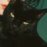 _