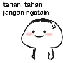 auth       or