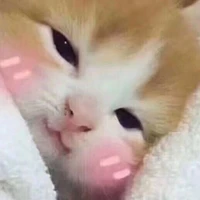 เขาเอง
