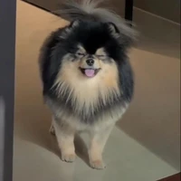 ❤️ᴀᴜᴛᴏʀᴀ❤️