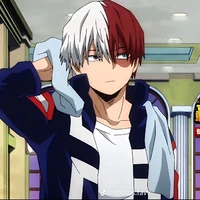 todoroki shoto