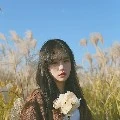 ไอริส💐