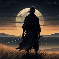 Mysterious Ninja