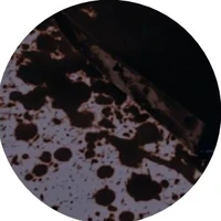 autora