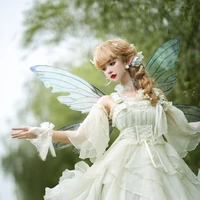 peri pendamping ( windia)