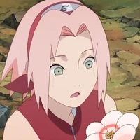 Sakura (Shippuuden)