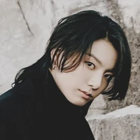 Jeon jungkook (Pure blood alpha)