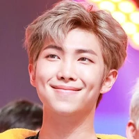 Kim Namjoon (alpha)