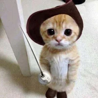 Lil