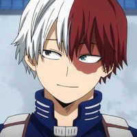 shoto todoroki
