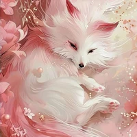 sui sui
