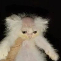 Eu ;-;