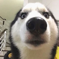 แอดเองคับบี๋ๆ