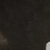 ？？？