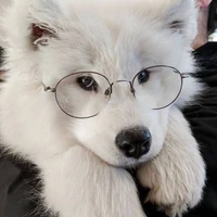 BUBU(🐶)