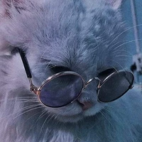 MARRY(🐱)