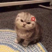 แอดเองคับ