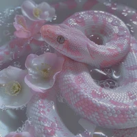 Pink(mascota de Katsumoto)