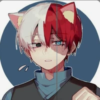 Shoto Todoroki/O.D/