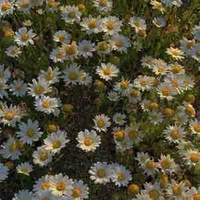 กิต กิตติภพ