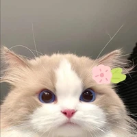 นิโคมุเง้ง🎀🍒