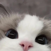 เขาๆ