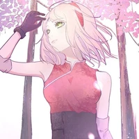 Sakura《AD》
