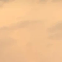 All